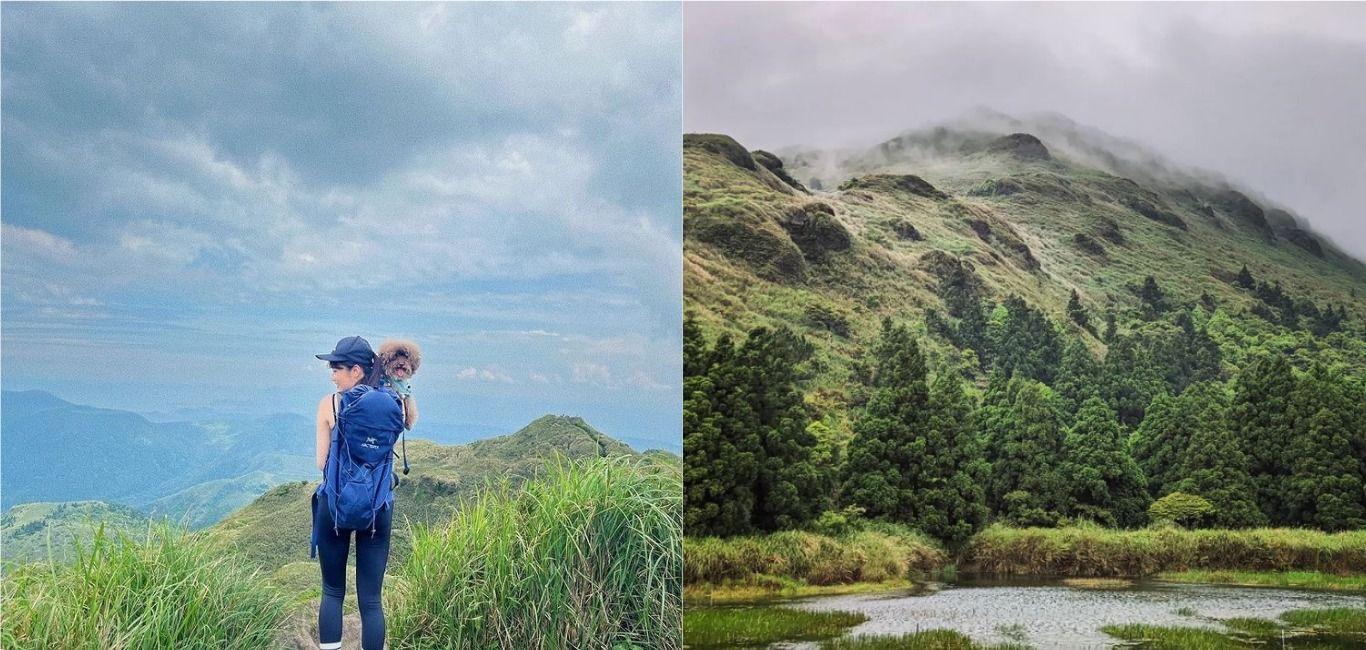 台北第一高峰「七星山」東峰、主峰步道登山路線全攻略！