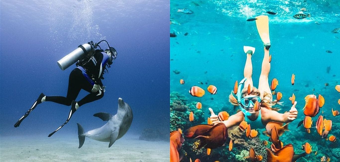 潛水新手必看！自由潛水vs水肺潛水的差別到底在哪裡？
