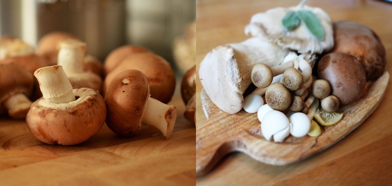 菇類被譽為「蔬菜牛排(Vegetable Beef Steak)」，一起來看看菇菇厲害之處！